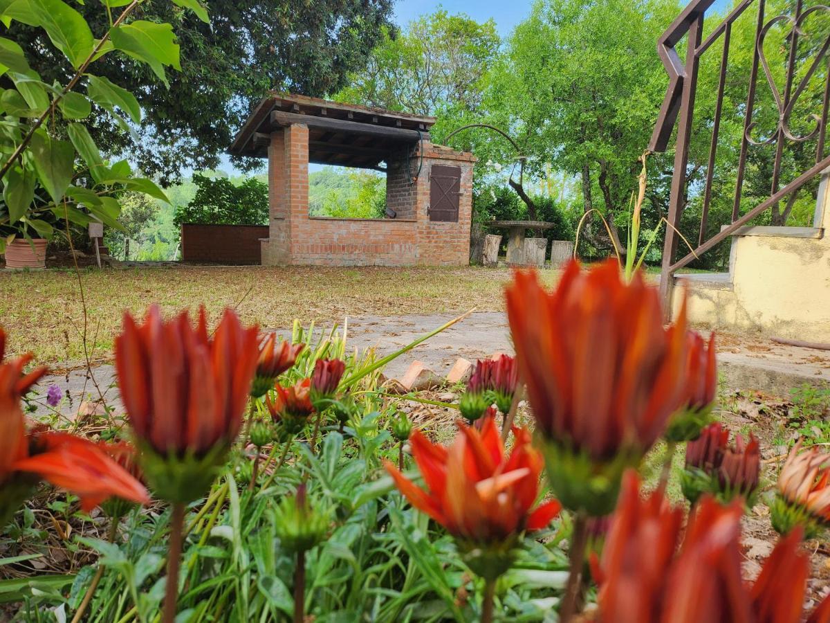 Il Giuggiolo - La Collina Della Quiete Bed & Breakfast Certaldo Exterior photo